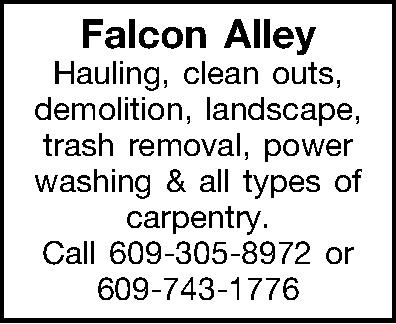 Falcon Alley Hauling, clean outs,  Falcon Alley Hauling, clean outs, demolition, landscape, trash removal, power washing & all types of carpentry. Call 609-305-8972 or 609-743-1776 