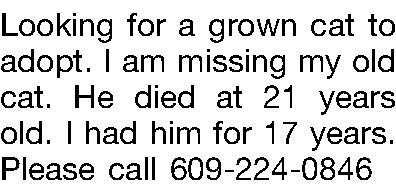 Looking for a grown cat  Looking for a grown cat to adopt. I am missing my old cat. He died at 21 years old. I had him for 17 years. Please call 609-224-0846