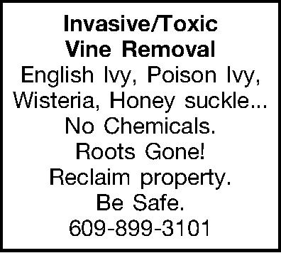 Invasive/Toxic Vine Removal English Ivy,  Invasive/Toxic Vine Removal English Ivy, Poison Ivy, Wisteria, Honey suckle... No Chemicals. Roots Gone! Reclaim property. Be Safe. 609-899-3101 