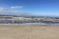 Cape May Beach <br>   Cape May Beach   505 Windward Rd   Saturday, 10/24, 10 a.m.- 3 p.m.   Garage Sale - Rain or Shine (Mostly Indoor) - Walk down driveway to garage & lower level    Villas / Cape May Beach - 505 Windward Road    Saturday, Oct 24 - 10AM - 3PM    Various items - Houseware, holiday, kitchenware, collectibles, new & lightly worn clothing. 