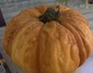  Villas <br> 48 Kentucky   Villas   48 Kentucky Ave   Saturday, 10/24-Sunday, 10/25, 9 a.m.- 1 p.m.   Four families, yard sale. 10/24 10/25 9am-1pm. No rain date. 